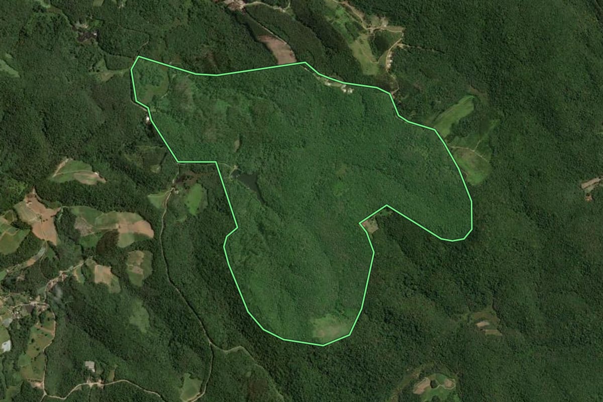 Imagem de satélite do imóvel rural em Piedade (SP), com o contorno declarado no CAR desenhado por cima.
