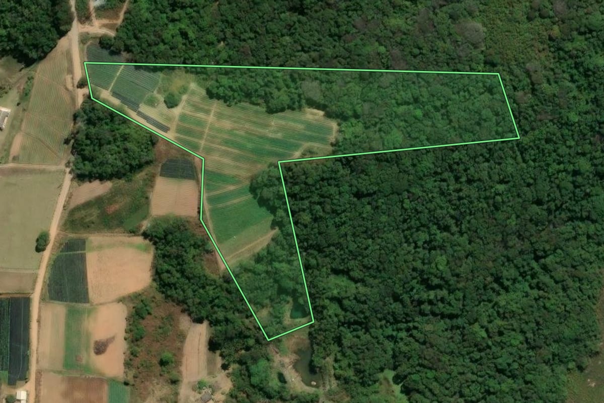 Imagem de satélite do imóvel rural em Piedade (SP), com o contorno declarado no CAR desenhado por cima.
