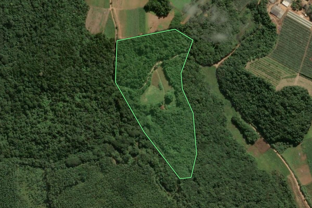 Imagem de satélite do imóvel rural em Piedade (SP), com o contorno declarado no CAR desenhado por cima.
