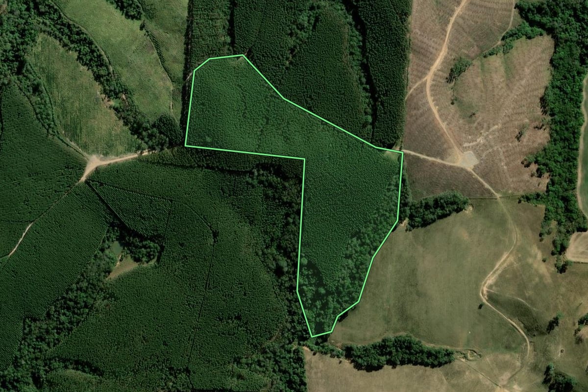 Imagem de satélite do imóvel rural em Pilar do Sul (SP), com o contorno declarado no CAR desenhado por cima.