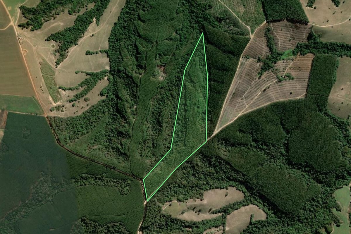 Imagem de satélite do imóvel rural em Pilar do Sul (SP), com o contorno declarado no CAR desenhado por cima.