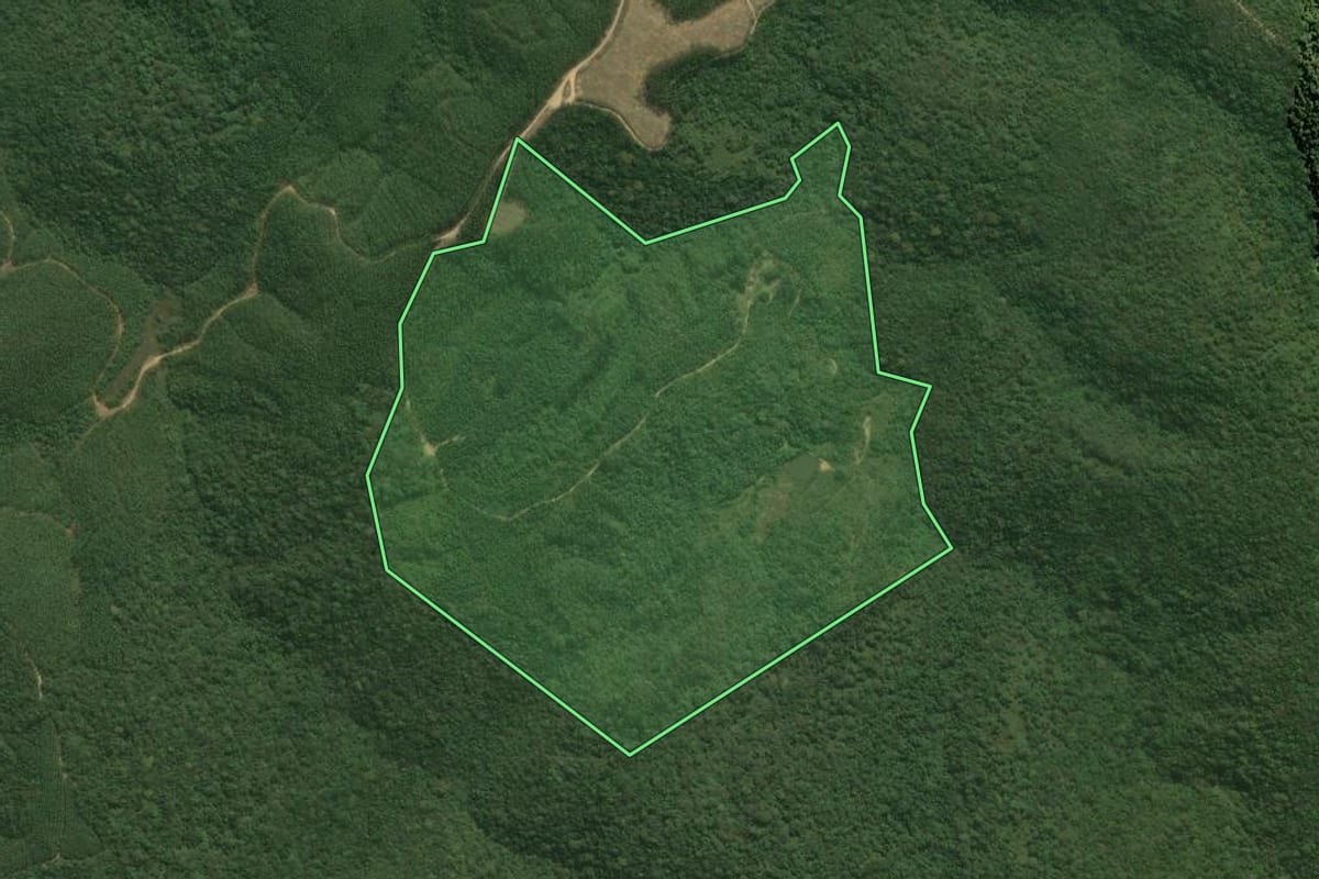 Imagem de satélite do imóvel rural em Pilar do Sul (SP), com o contorno declarado no CAR desenhado por cima.