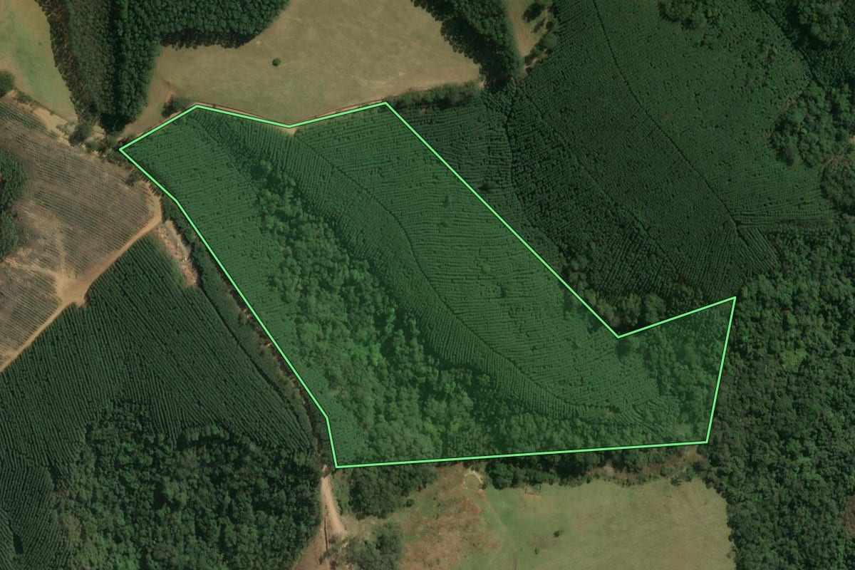 Imagem de satélite do imóvel rural em Pilar do Sul (SP), com o contorno declarado no CAR desenhado por cima.