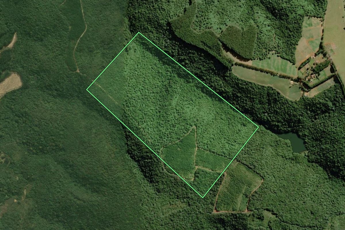 Imagem de satélite do imóvel rural em Pilar do Sul (SP), com o contorno declarado no CAR desenhado por cima.