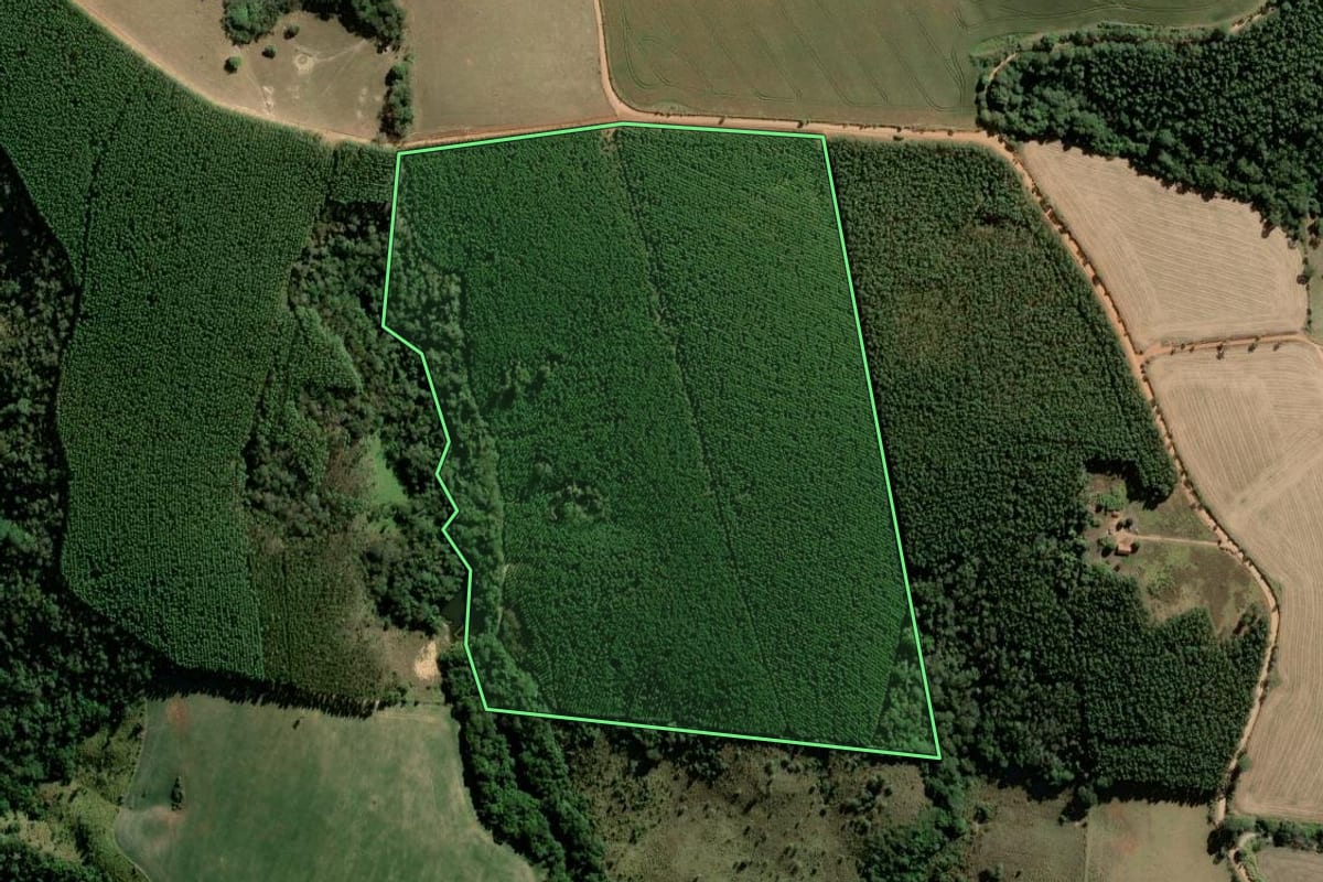 Imagem de satélite do imóvel rural em Pilar do Sul (SP), com o contorno declarado no CAR desenhado por cima.