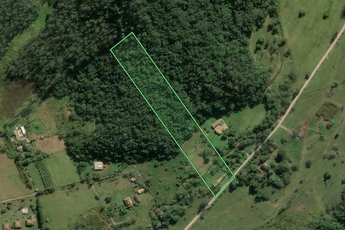 Imagem de satélite do imóvel rural em Pindamonhangaba (SP), com o contorno declarado no CAR desenhado por cima.