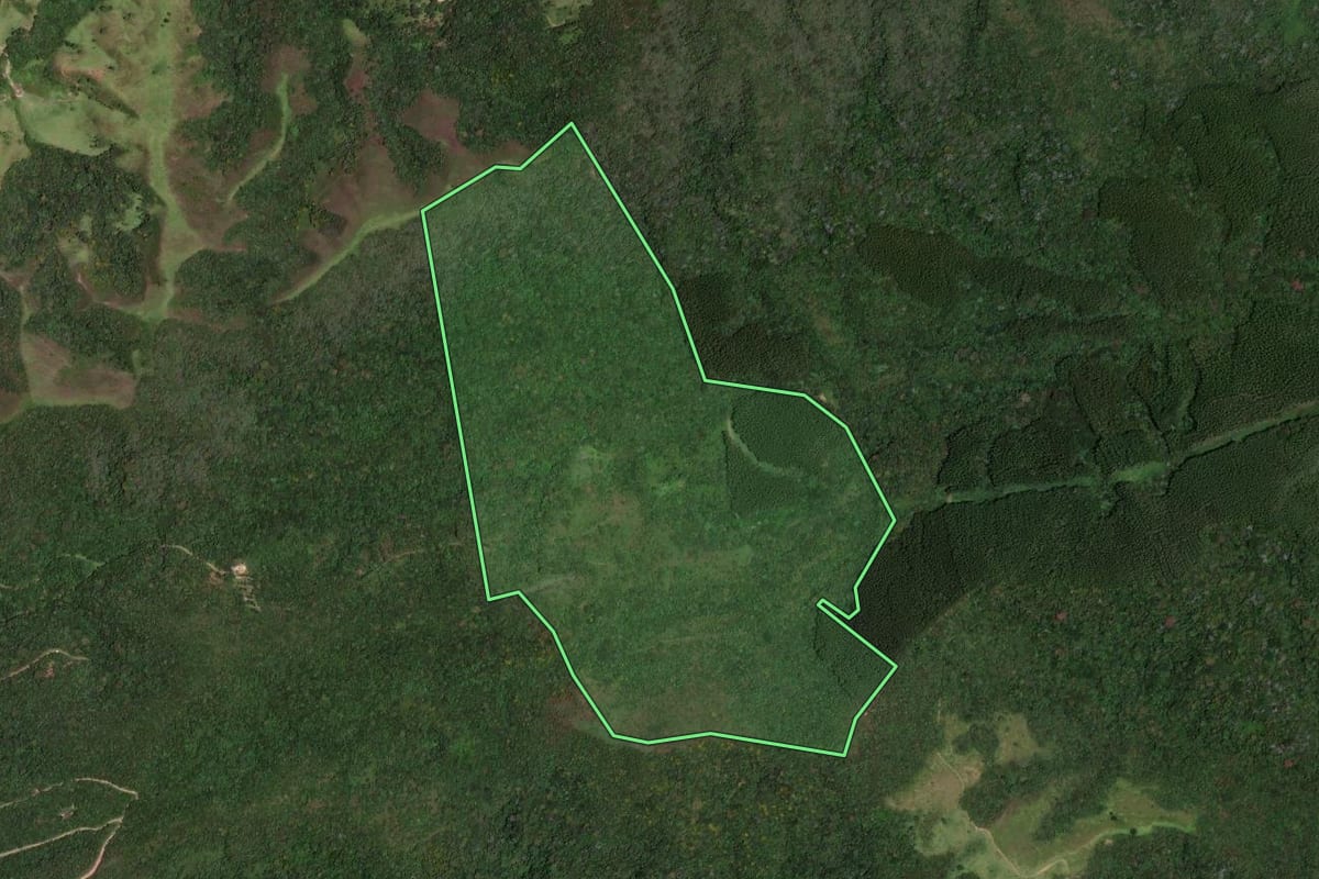 Imagem de satélite do imóvel rural em Pindamonhangaba (SP), com o contorno declarado no CAR desenhado por cima.