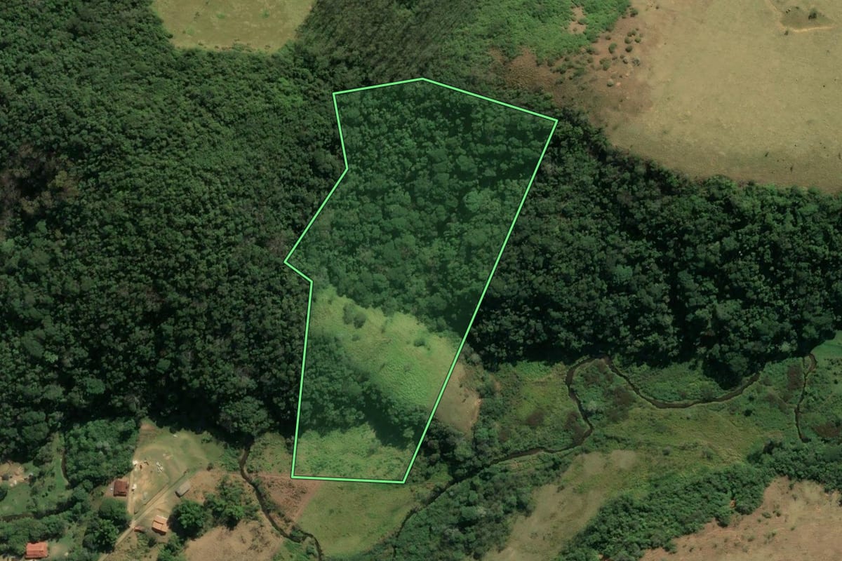 Imagem de satélite do imóvel rural em Pindamonhangaba (SP), com o contorno declarado no CAR desenhado por cima.