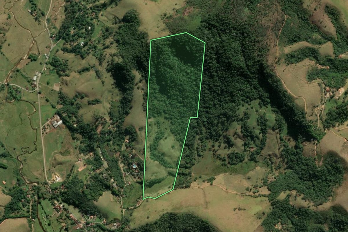 Imagem de satélite do imóvel rural em Pindamonhangaba (SP), com o contorno declarado no CAR desenhado por cima.