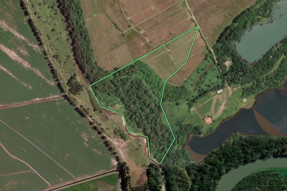 Imagem de satélite do imóvel rural em Pindamonhangaba (SP), com o contorno declarado no CAR desenhado por cima.