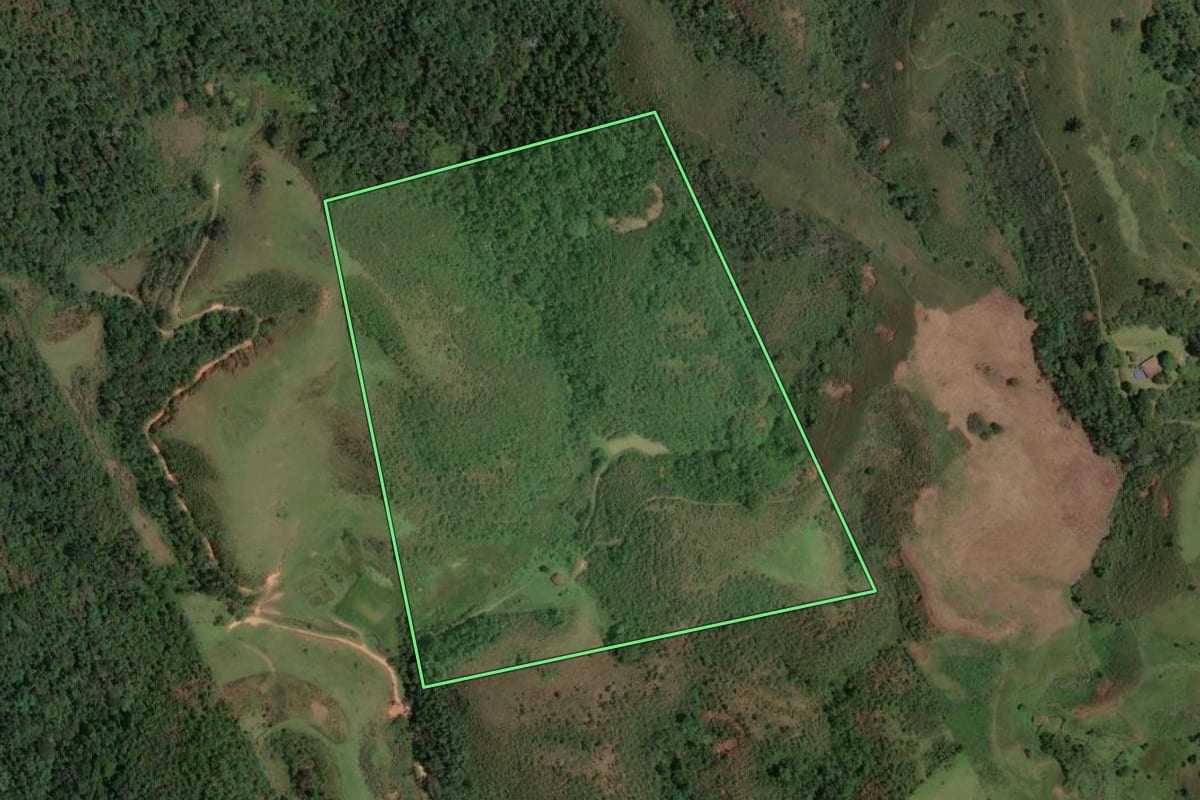 Imagem de satélite do imóvel rural em Pindamonhangaba (SP), com o contorno declarado no CAR desenhado por cima.