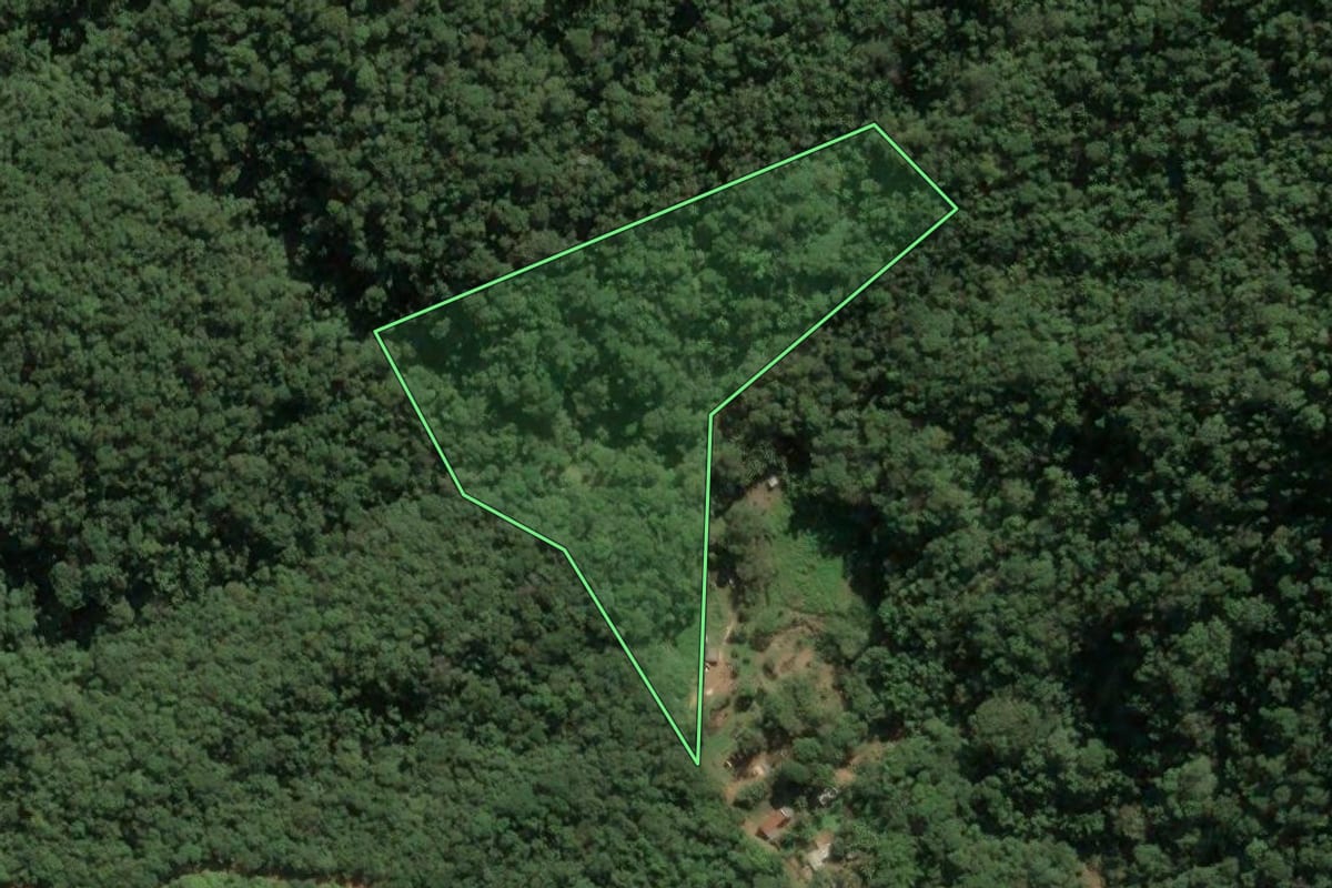 Imagem de satélite do imóvel rural em Pindamonhangaba (SP), com o contorno declarado no CAR desenhado por cima.