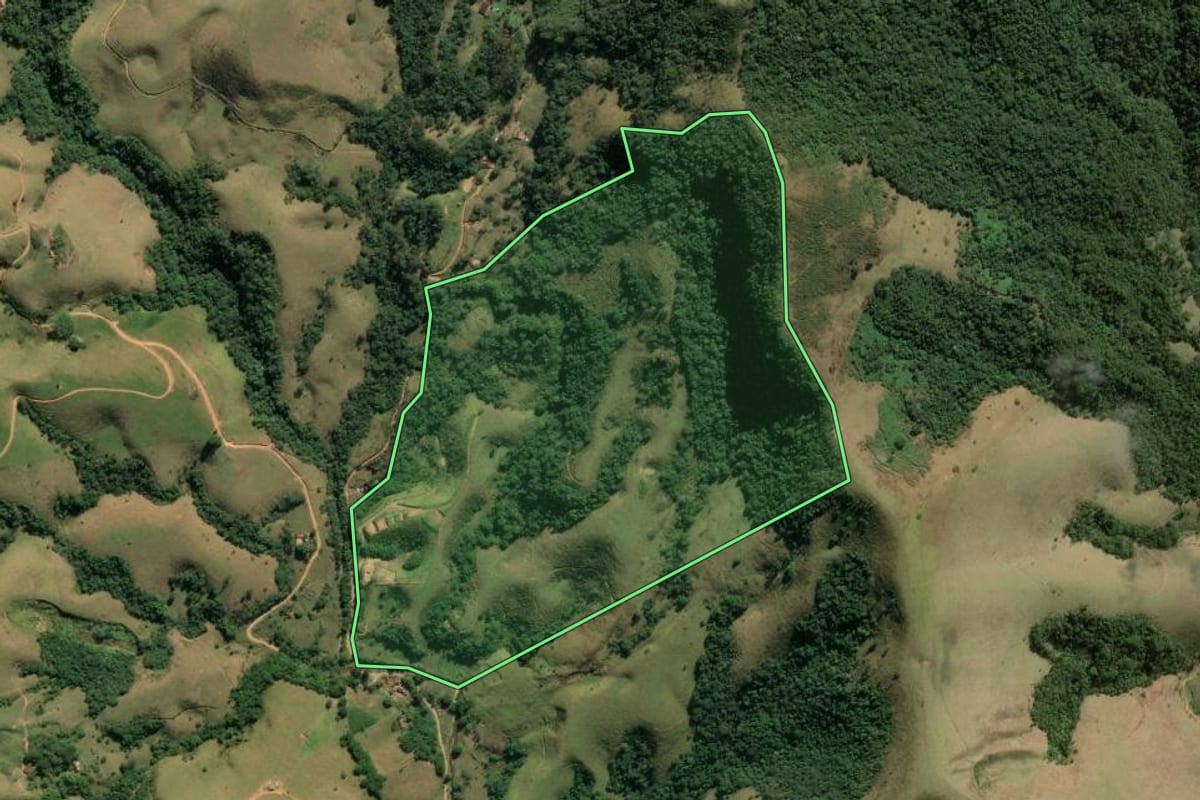 Imagem de satélite do imóvel rural em Pindamonhangaba (SP), com o contorno declarado no CAR desenhado por cima.