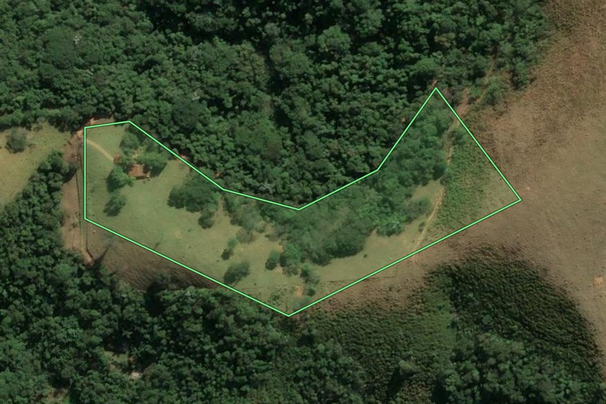 Imagem de satélite do imóvel rural em Pindamonhangaba (SP), com o contorno declarado no CAR desenhado por cima.