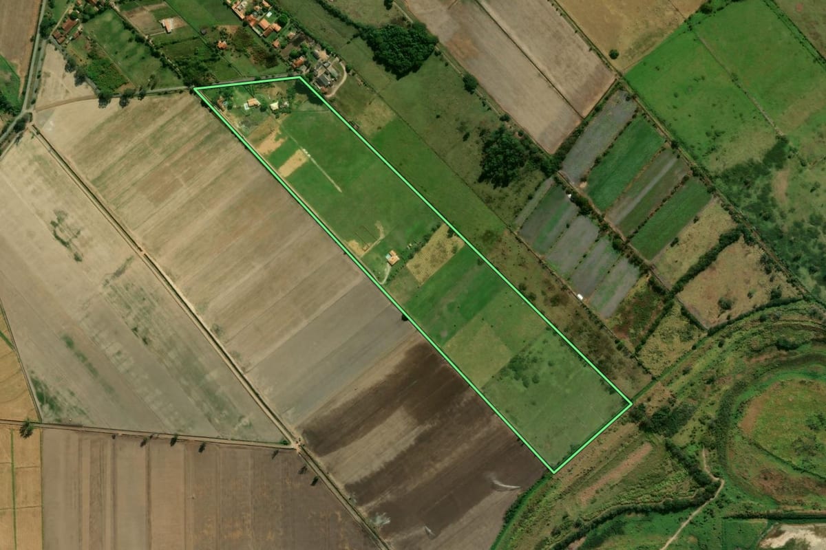 Imagem de satélite do imóvel rural em Pindamonhangaba (SP), com o contorno declarado no CAR desenhado por cima.
