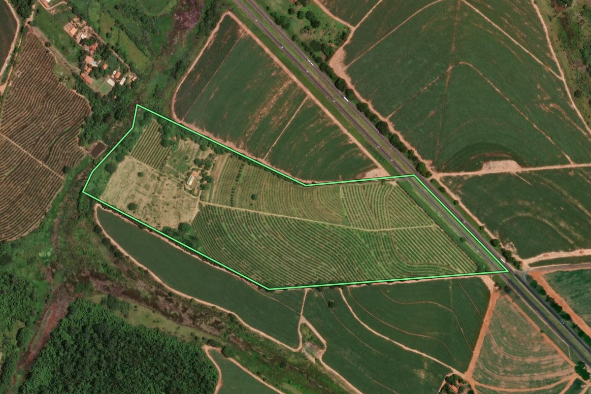 Imagem de satélite do imóvel rural em Pindorama (SP), com o contorno declarado no CAR desenhado por cima.