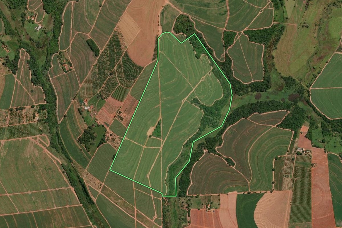 Imagem de satélite do imóvel rural em Pindorama (SP), com o contorno declarado no CAR desenhado por cima.