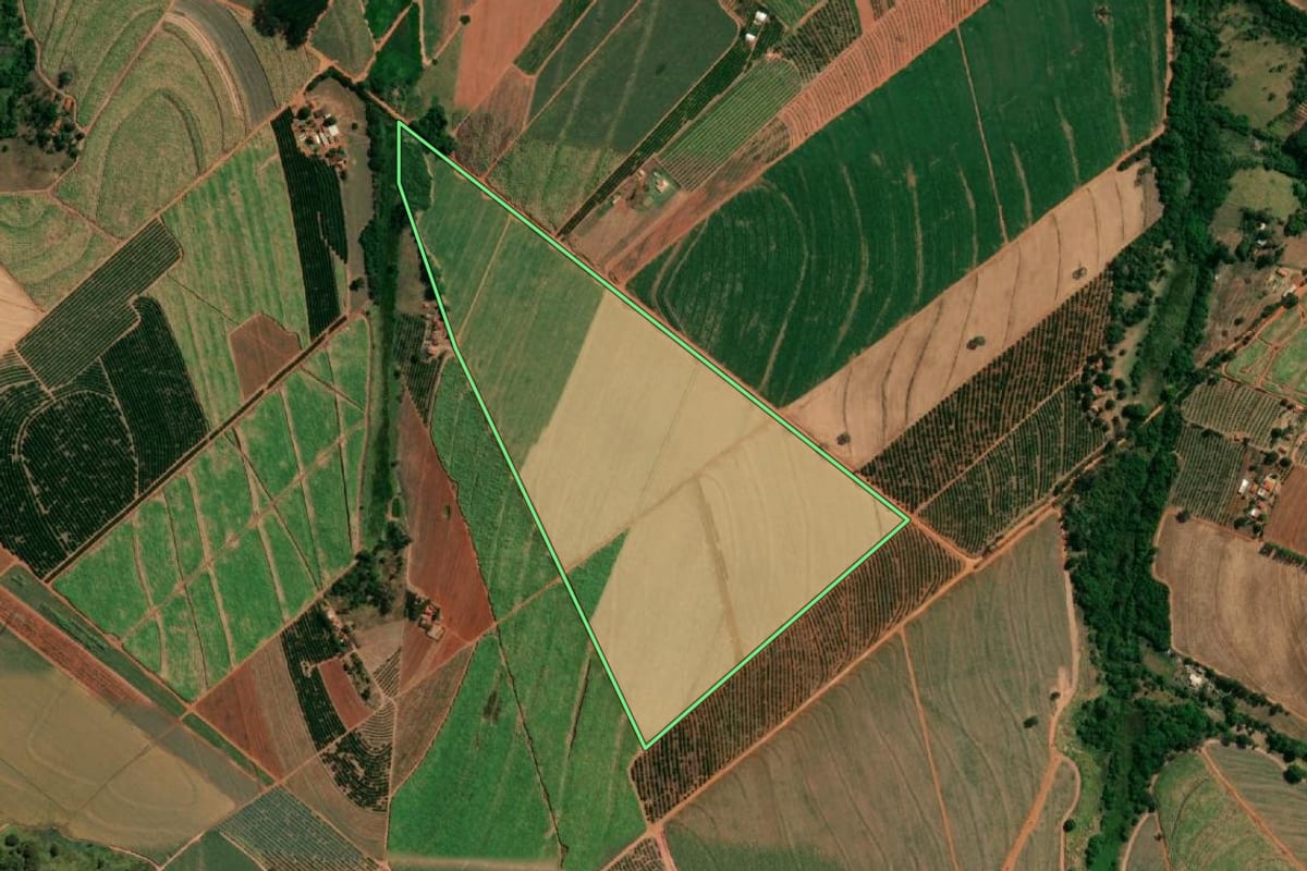 Imagem de satélite do imóvel rural em Pindorama (SP), com o contorno declarado no CAR desenhado por cima.
