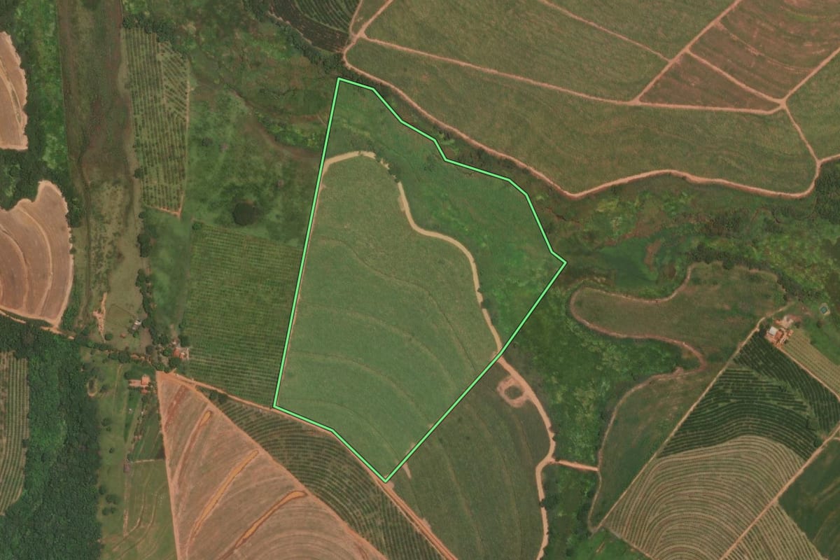 Imagem de satélite do imóvel rural em Itajobi (SP), com o contorno declarado no CAR desenhado por cima.