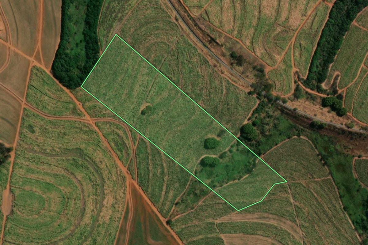 Imagem de satélite do imóvel rural em Pindorama (SP), com o contorno declarado no CAR desenhado por cima.