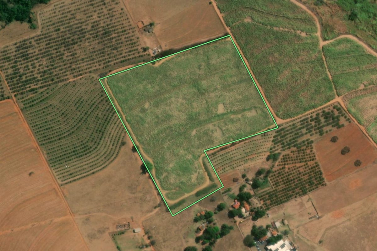 Imagem de satélite do imóvel rural em Pindorama (SP), com o contorno declarado no CAR desenhado por cima.