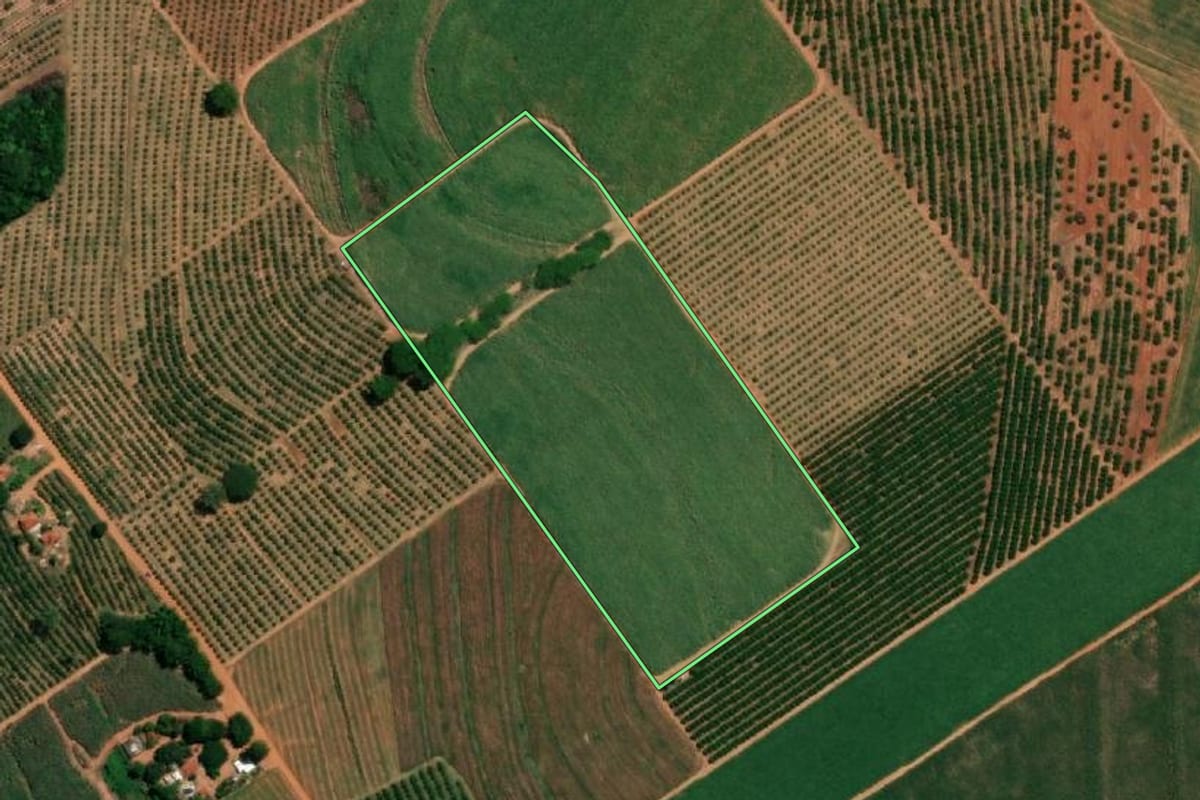 Imagem de satélite do imóvel rural em Pindorama (SP), com o contorno declarado no CAR desenhado por cima.