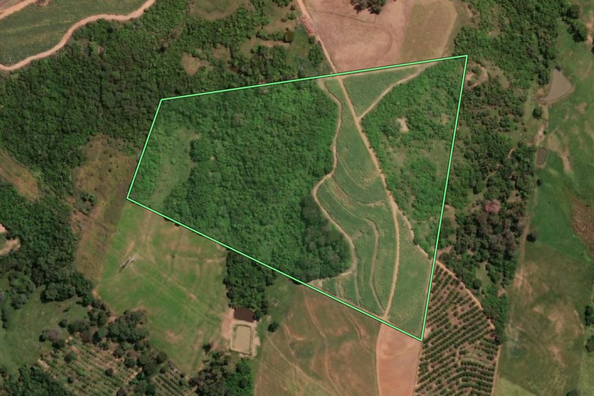 Imagem de satélite do imóvel rural em Pindorama (SP), com o contorno declarado no CAR desenhado por cima.