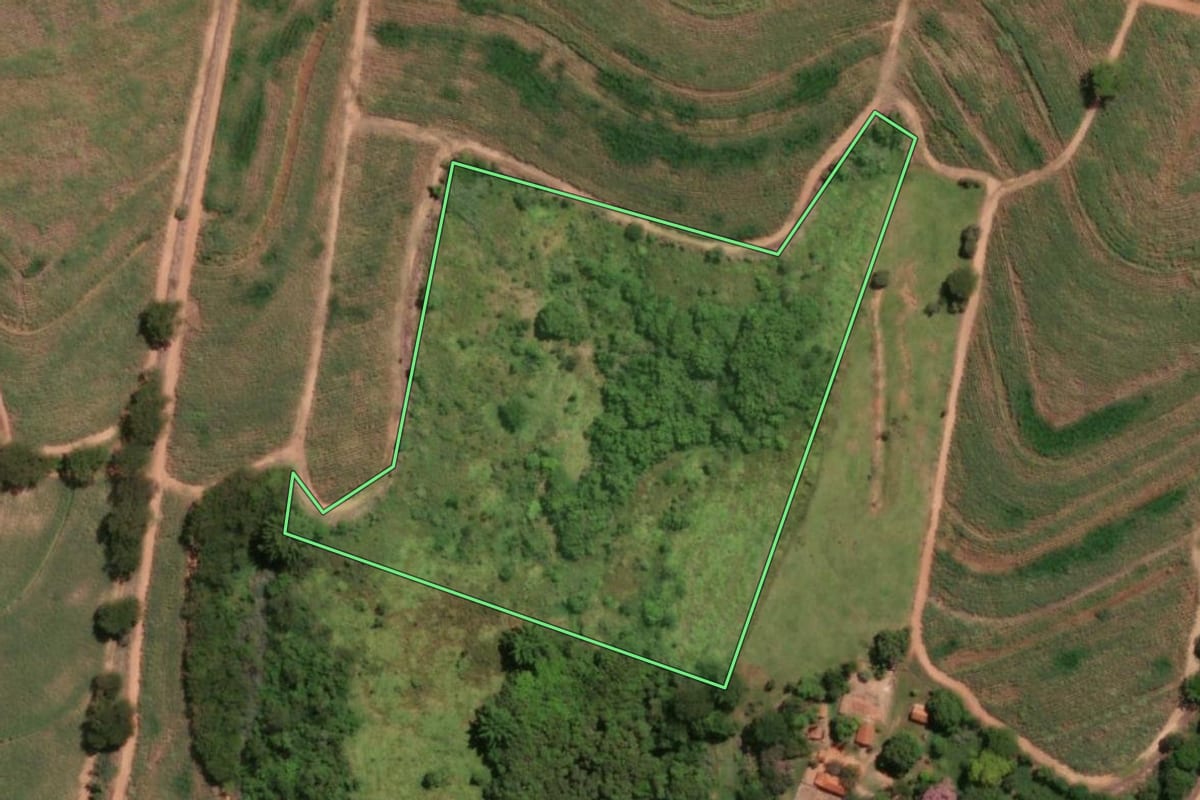 Imagem de satélite do imóvel rural em Pindorama (SP), com o contorno declarado no CAR desenhado por cima.