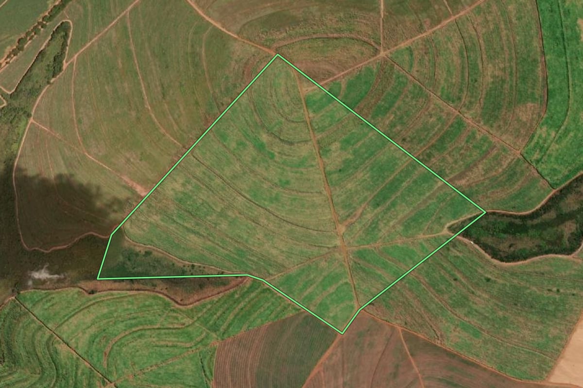 Imagem de satélite do imóvel rural em Pindorama (SP), com o contorno declarado no CAR desenhado por cima.