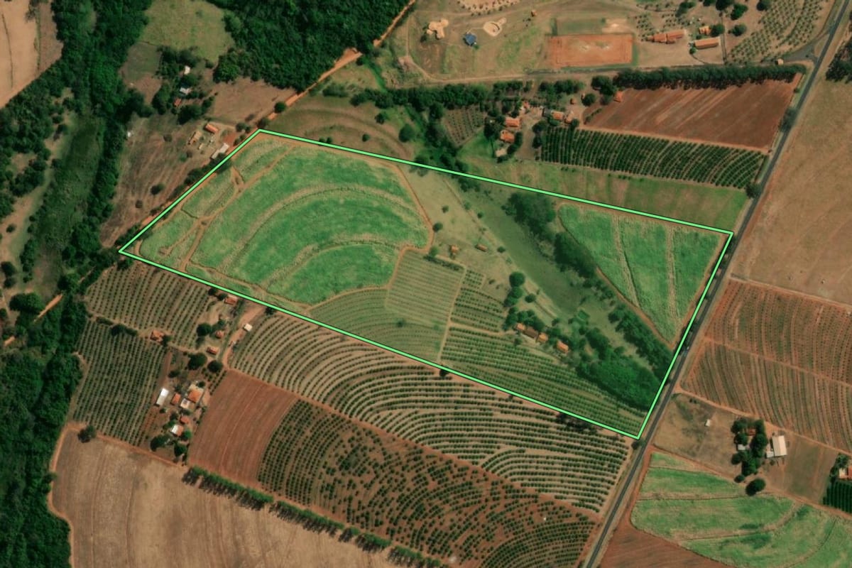 Imagem de satélite do imóvel rural em Pindorama (SP), com o contorno declarado no CAR desenhado por cima.
