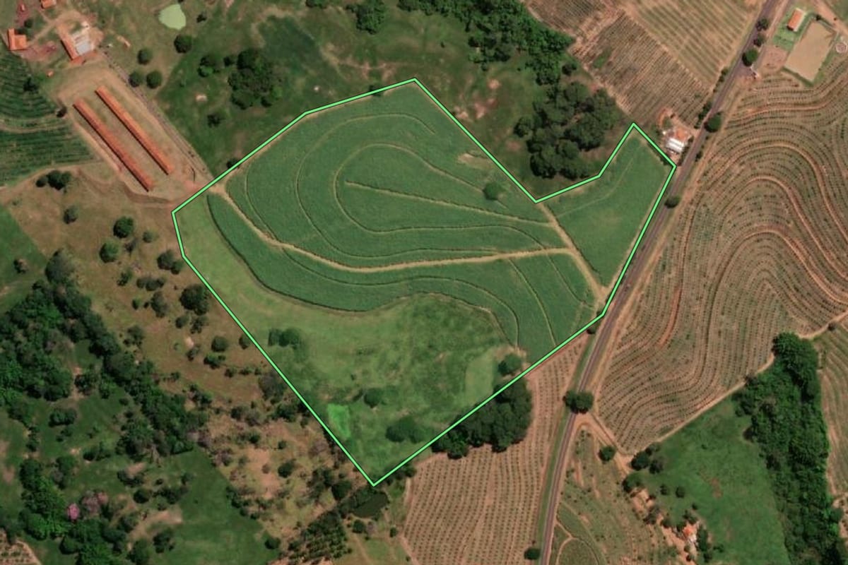 Imagem de satélite do imóvel rural em Pindorama (SP), com o contorno declarado no CAR desenhado por cima.