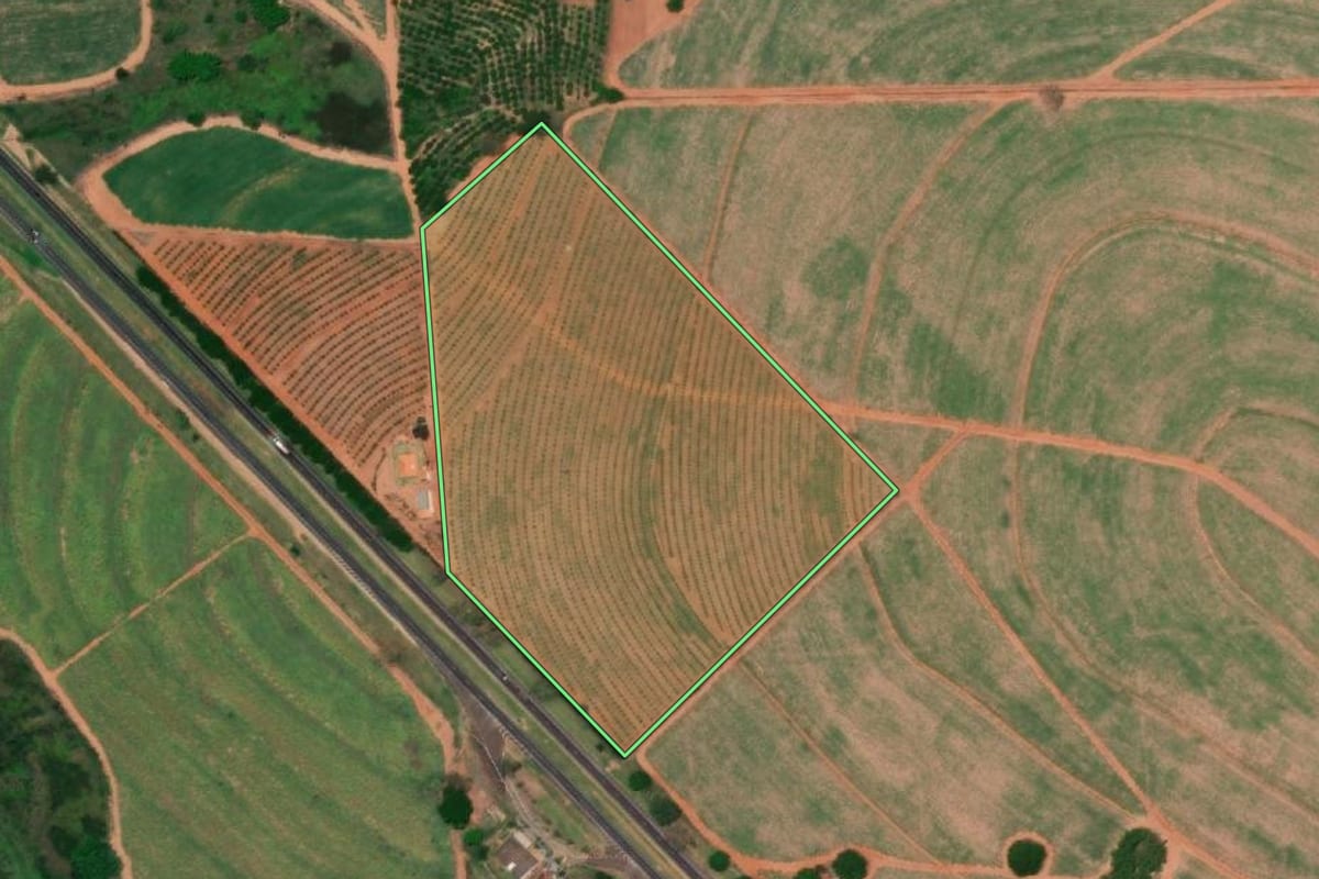 Imagem de satélite do imóvel rural em Pindorama (SP), com o contorno declarado no CAR desenhado por cima.
