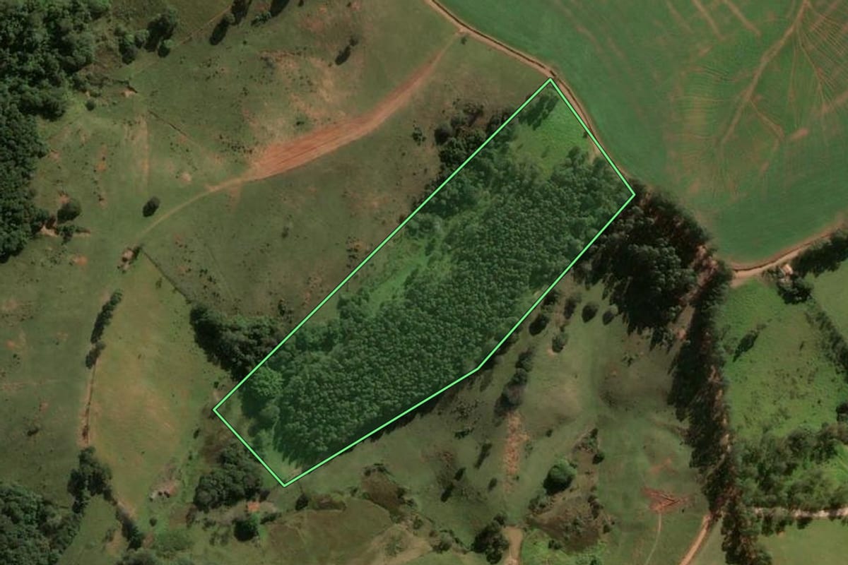Imagem de satélite do imóvel rural em Pinhalzinho (SP), com o contorno declarado no CAR desenhado por cima.