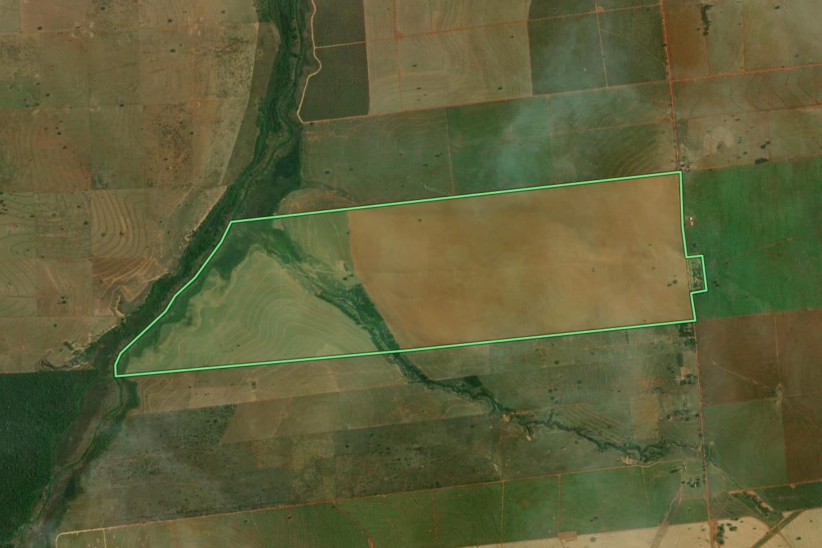 Imagem de satélite do imóvel rural em Piquerobi (SP), com o contorno declarado no CAR desenhado por cima.