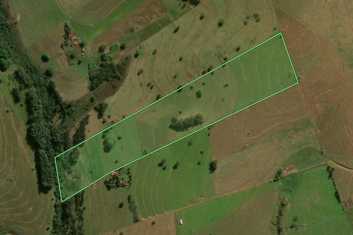 Imagem de satélite do imóvel rural em Piquerobi (SP), com o contorno declarado no CAR desenhado por cima.