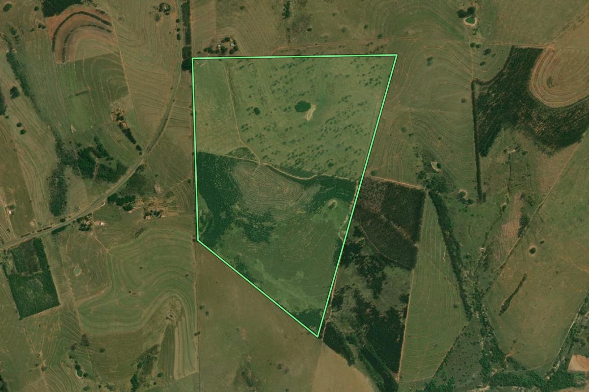 Imagem de satélite do imóvel rural em Piquerobi (SP), com o contorno declarado no CAR desenhado por cima.