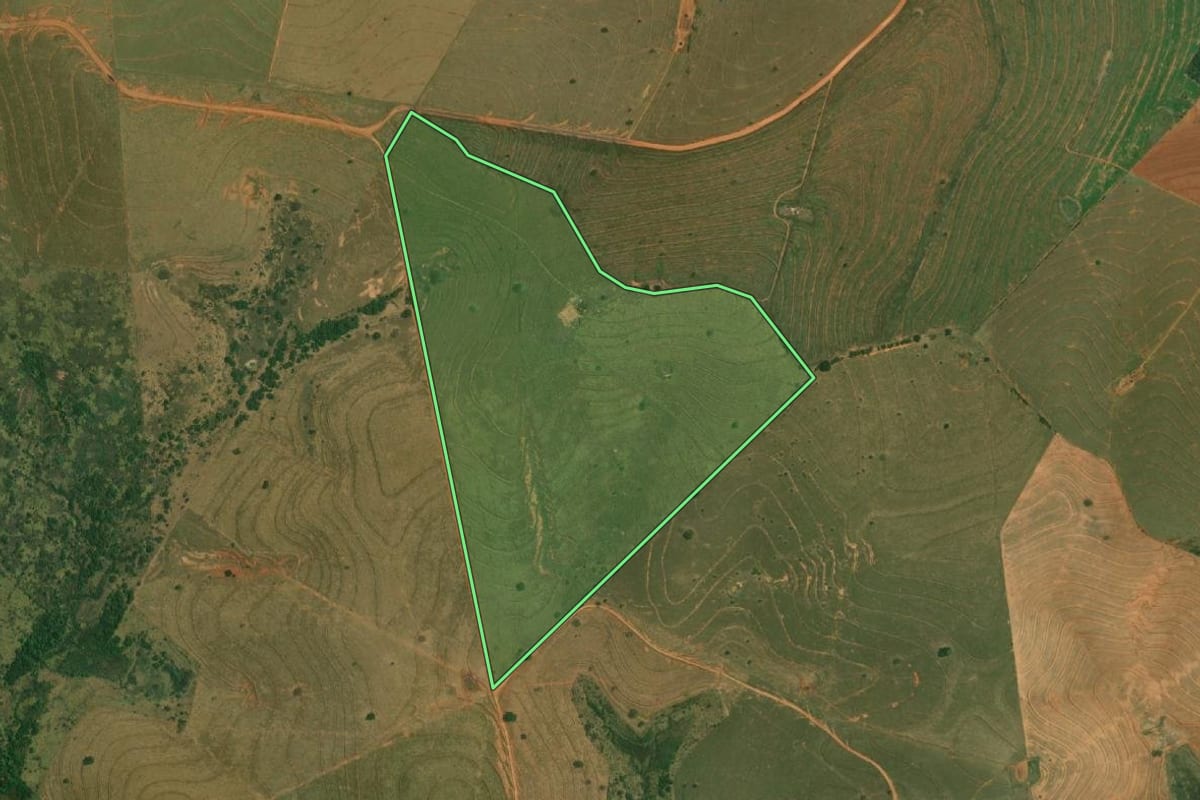 Imagem de satélite do imóvel rural em Piquerobi (SP), com o contorno declarado no CAR desenhado por cima.