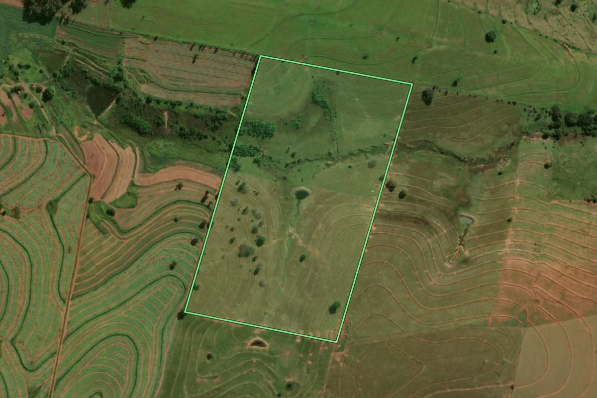 Imagem de satélite do imóvel rural em Piquerobi (SP), com o contorno declarado no CAR desenhado por cima.