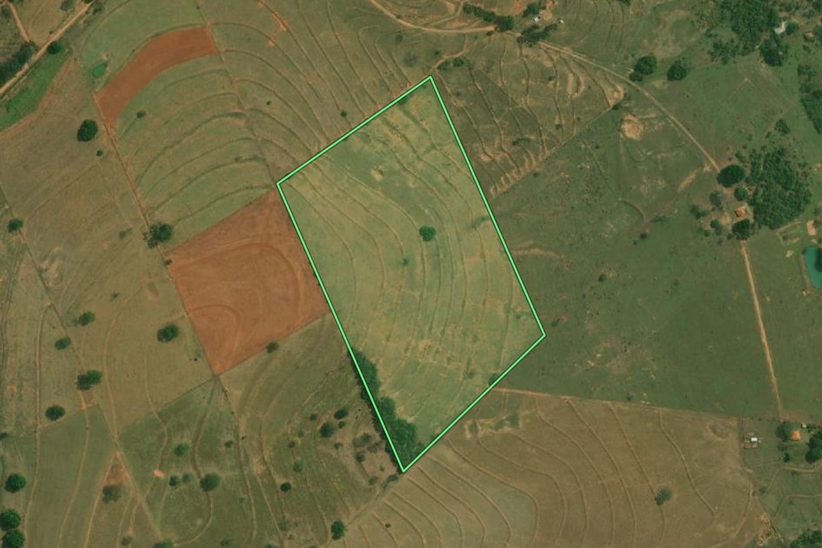Imagem de satélite do imóvel rural em Piquerobi (SP), com o contorno declarado no CAR desenhado por cima.
