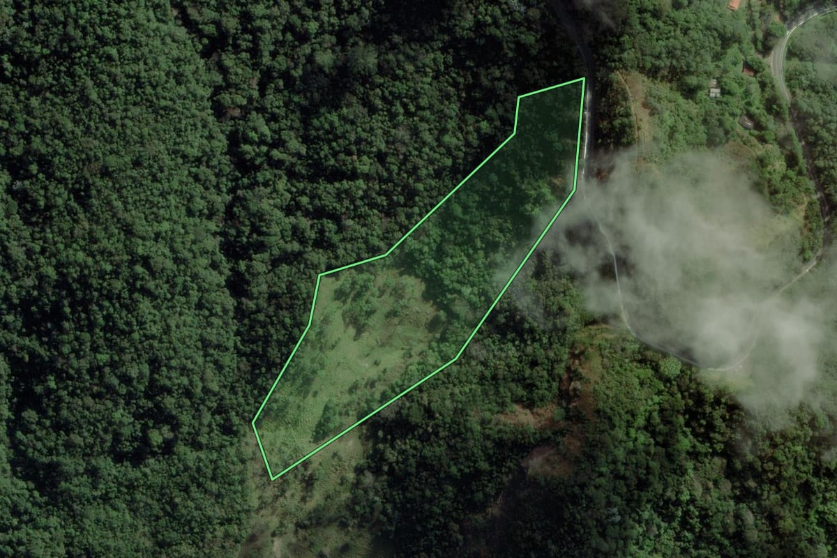 Imagem de satélite do imóvel rural em Piquete (SP), com o contorno declarado no CAR desenhado por cima.