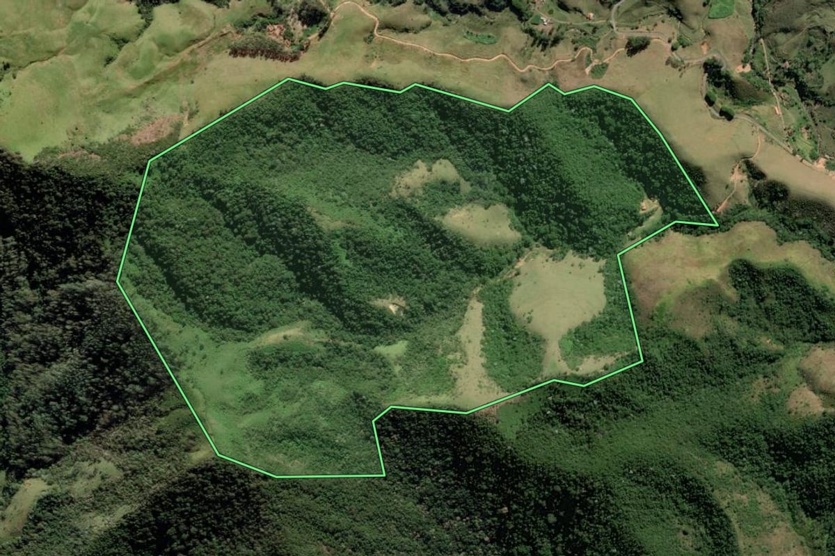 Imagem de satélite do imóvel rural em Piquete (SP), com o contorno declarado no CAR desenhado por cima.