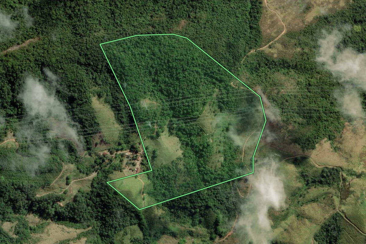 Imagem de satélite do imóvel rural em Piquete (SP), com o contorno declarado no CAR desenhado por cima.