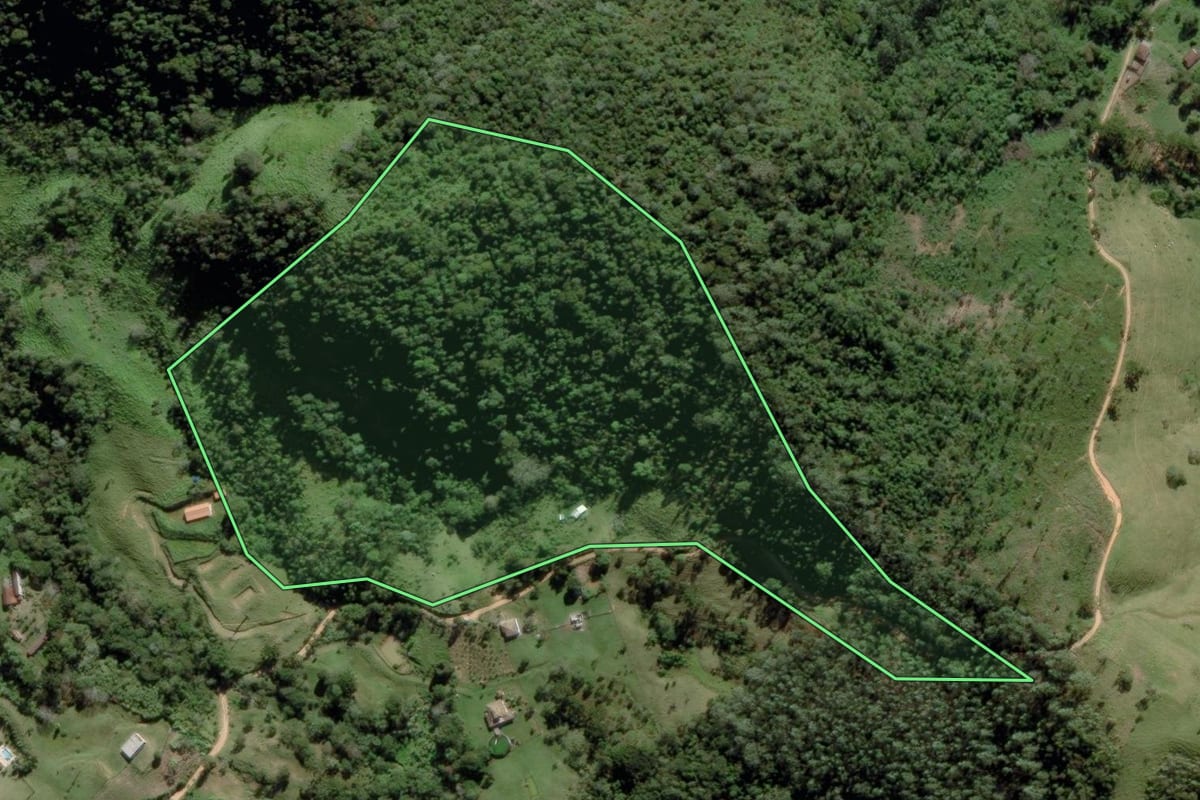 Imagem de satélite do imóvel rural em Piquete (SP), com o contorno declarado no CAR desenhado por cima.