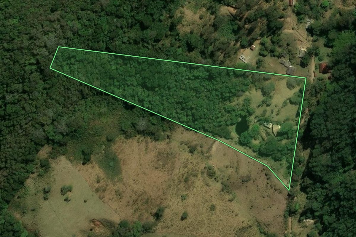 Imagem de satélite do imóvel rural em Piracaia (SP), com o contorno declarado no CAR desenhado por cima.