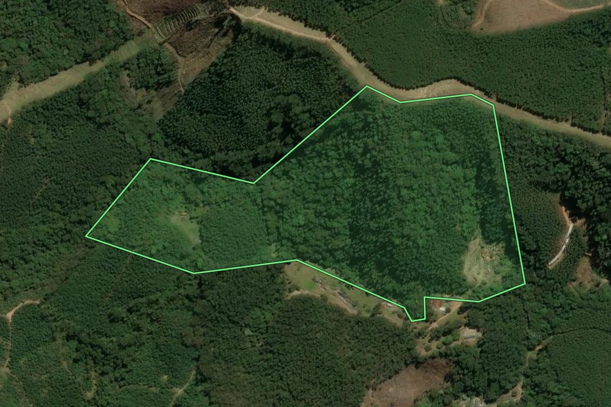 Imagem de satélite do imóvel rural em Piracaia (SP), com o contorno declarado no CAR desenhado por cima.