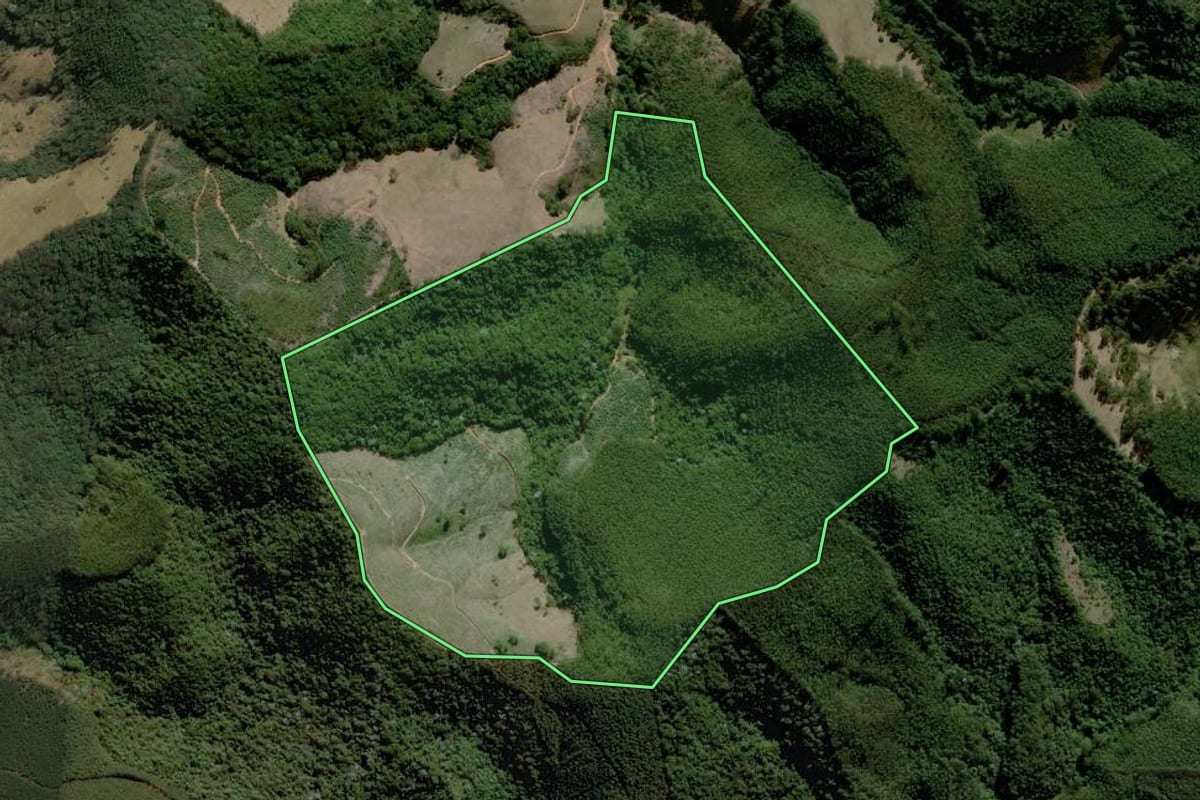 Imagem de satélite do imóvel rural em Piracaia (SP), com o contorno declarado no CAR desenhado por cima.