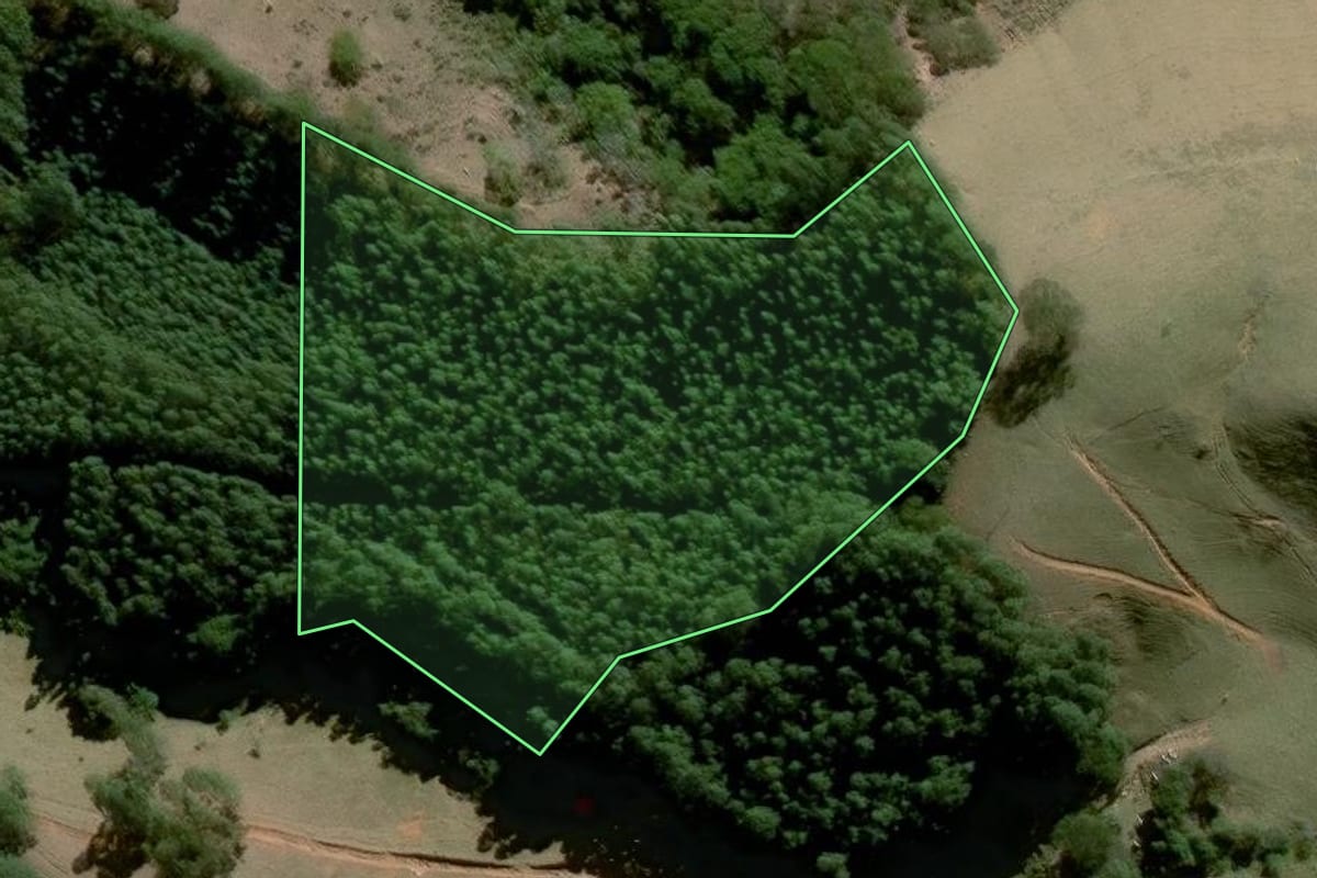Imagem de satélite do imóvel rural em Piracaia (SP), com o contorno declarado no CAR desenhado por cima.