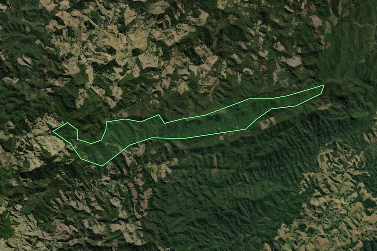 Imagem de satélite do imóvel rural em Piracaia (SP), com o contorno declarado no CAR desenhado por cima.