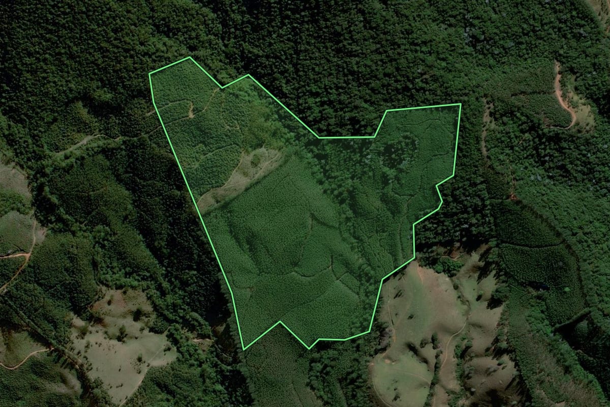 Imagem de satélite do imóvel rural em Piracaia (SP), com o contorno declarado no CAR desenhado por cima.