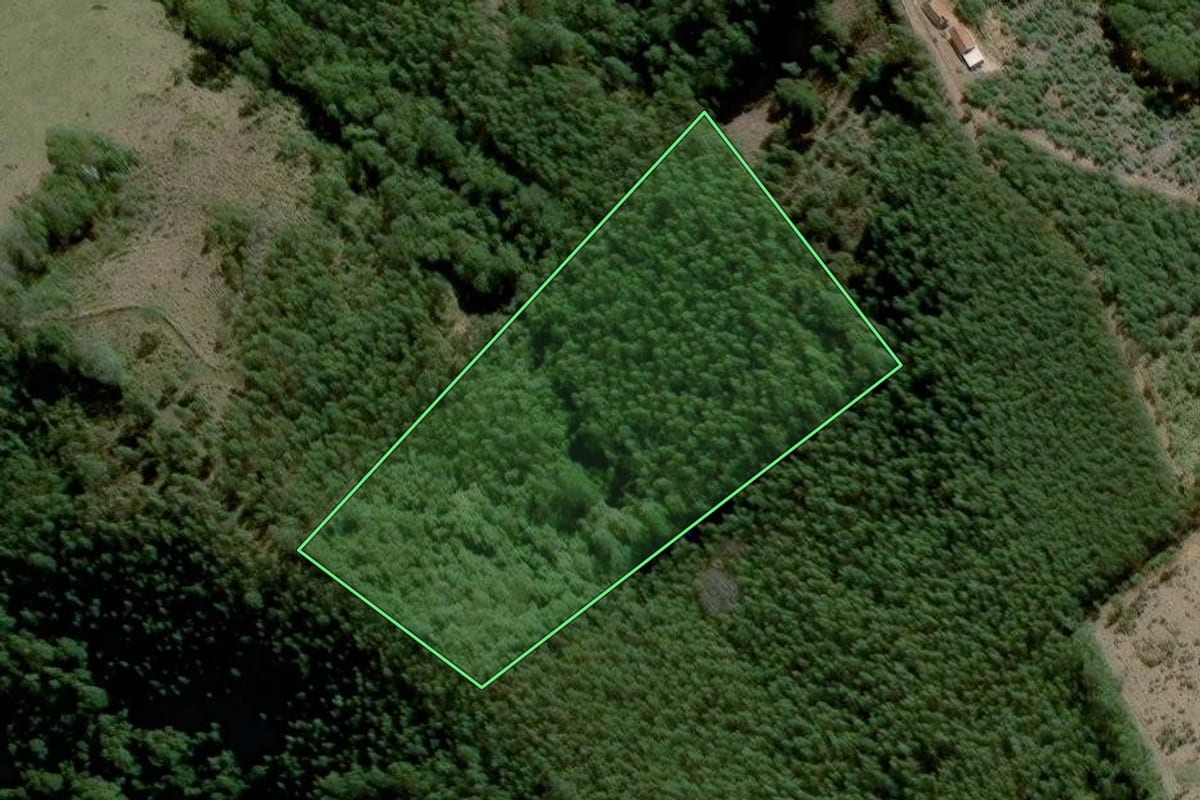 Imagem de satélite do imóvel rural em Piracaia (SP), com o contorno declarado no CAR desenhado por cima.
